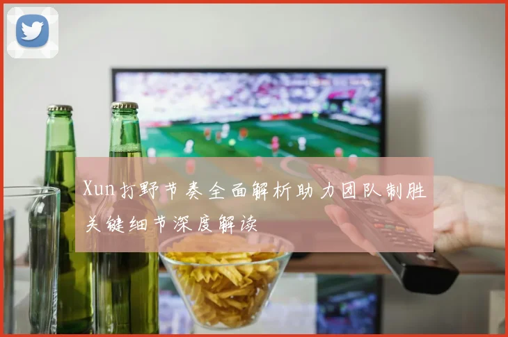 Xun打野节奏全面解析助力团队制胜关键细节深度解读